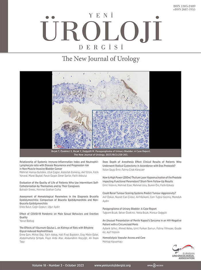 Yeni Üroloji Dergisi Volume: 18 Issue: 3
