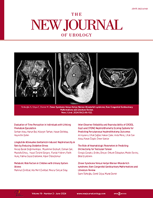 The New Journal of Urology Volume: 19 Issue: 2
