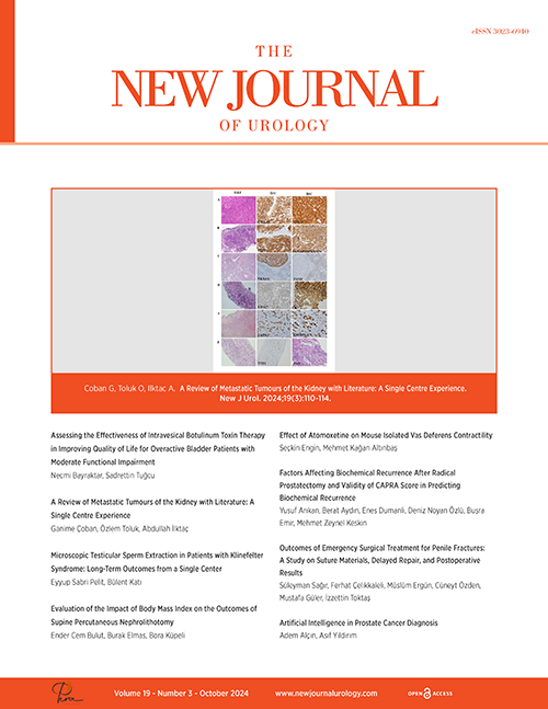 The New Journal of Urology Volume: 19 Issue: 3