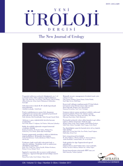 Yeni Üroloji Dergisi  Volume: 12 Issue: 3