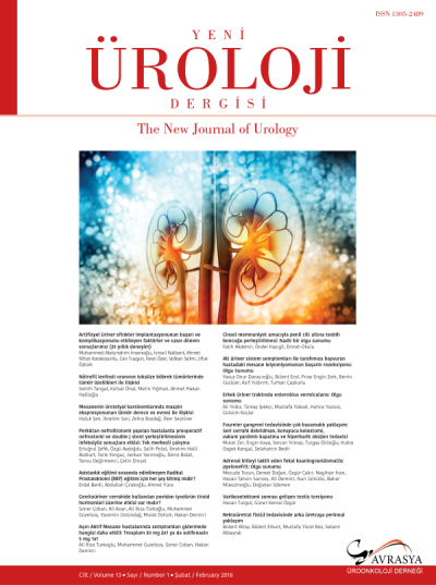 Yeni Üroloji Dergisi  Volume: 13 Issue: 1