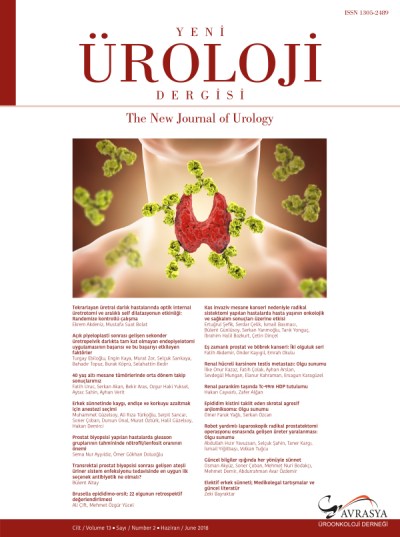 Yeni Üroloji Dergisi  Volume: 13 Issue: 2