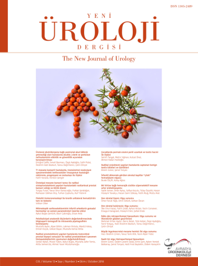 Yeni Üroloji Dergisi  Volume: 13 Issue: 3