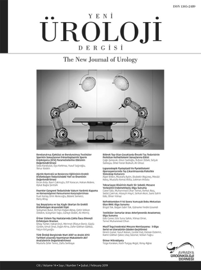 Yeni Üroloji Dergisi  Volume: 14 Issue: 1