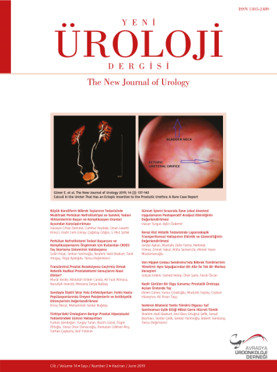 Yeni Üroloji Dergisi  Volume: 14 Issue: 2