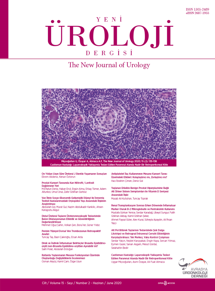 Yeni Üroloji Dergisi  Volume: 15 Issue: 2