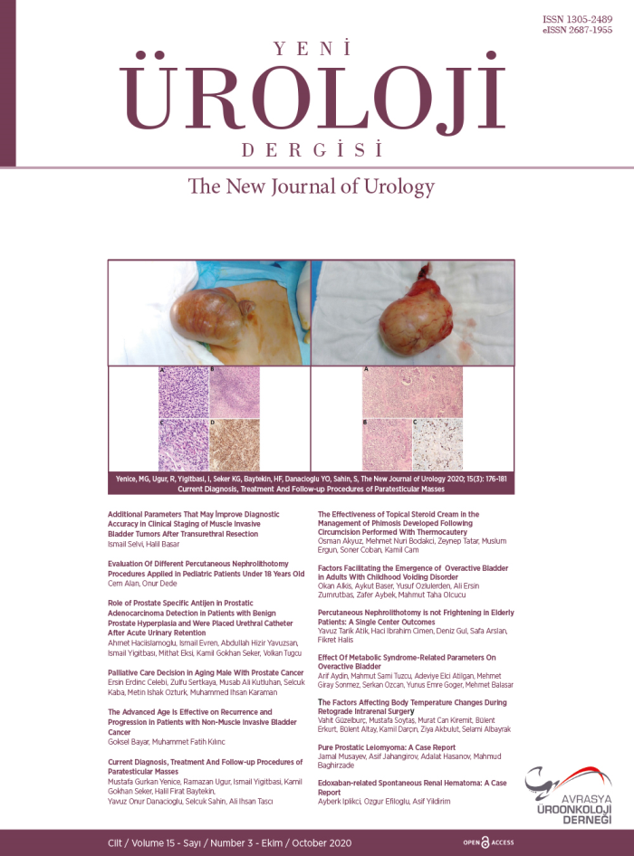 Yeni Üroloji Dergisi  Volume: 15 Issue: 3