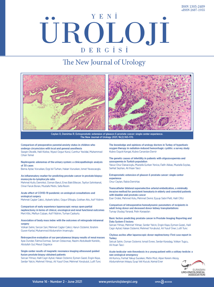 Yeni Üroloji Dergisi Volume: 16 Issue: 2