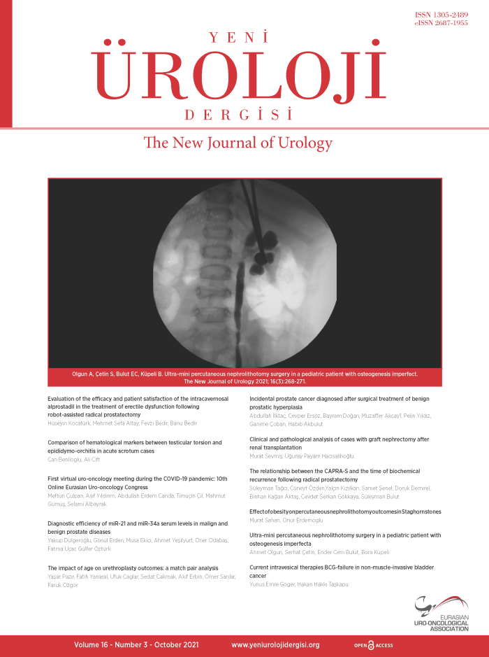 Yeni Üroloji Dergisi Volume: 16 Issue: 3