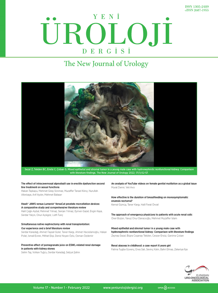 Yeni Üroloji Dergisi Volume: 17 Issue: 1