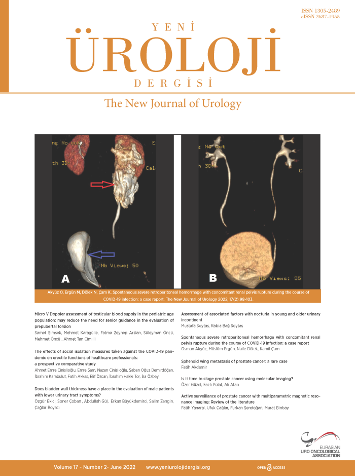 Yeni Üroloji Dergisi Volume: 17 Issue: 2
