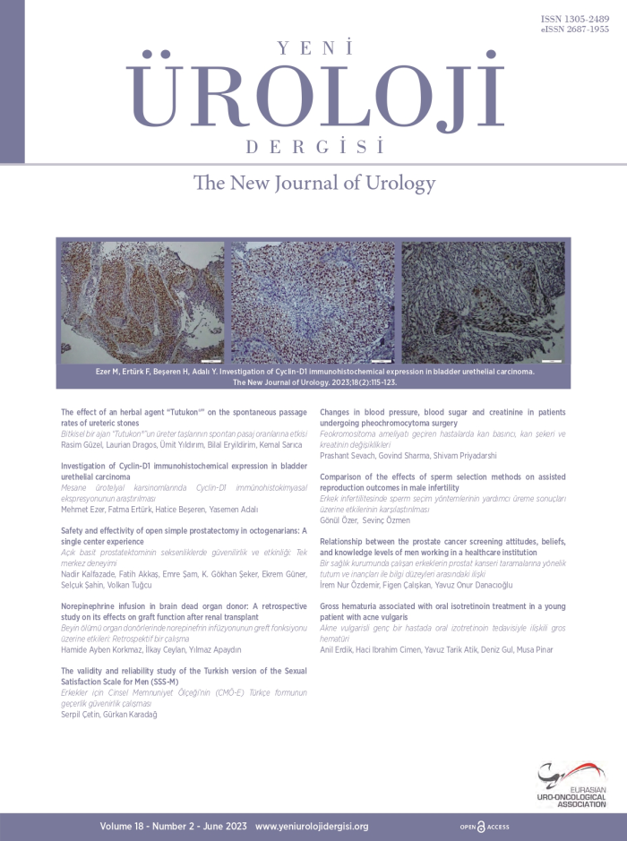Yeni Üroloji Dergisi Volume: 18 Issue: 2